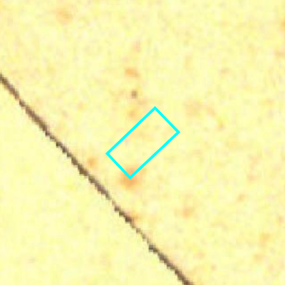 Algemeen Bodemgebruik (ABW)