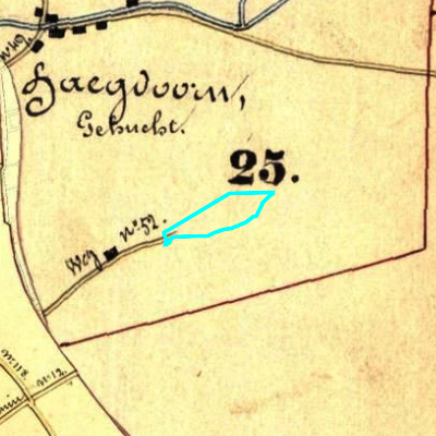 Algemeen Bodemgebruik (ABW)