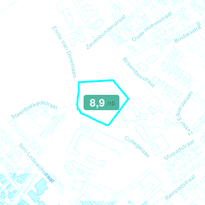 Mobiscore