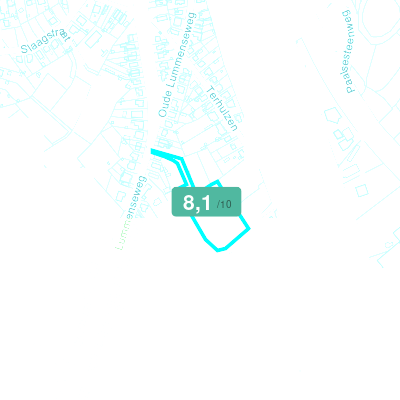 Mobiscore