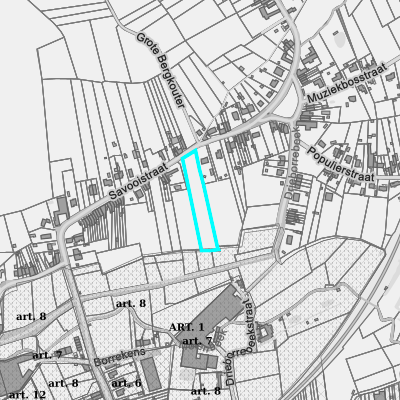 Ruimtelijke uitvoeringsplannen (RUP)