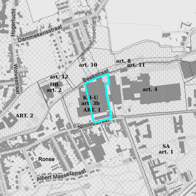 Ruimtelijke uitvoeringsplannen (RUP)