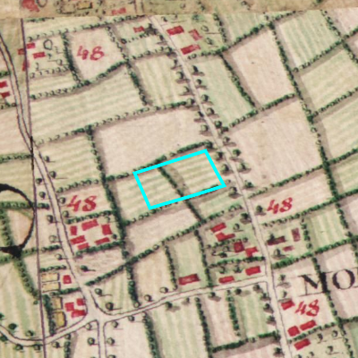 Ferraris (1771-1778)