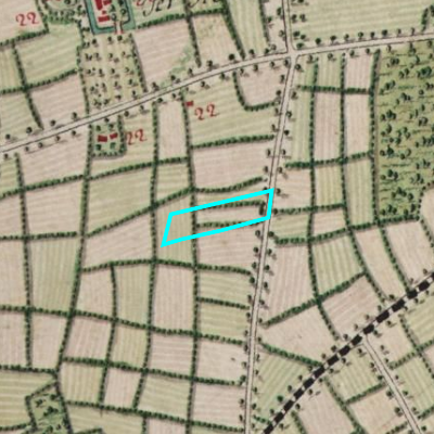 Ferraris (1771-1778)