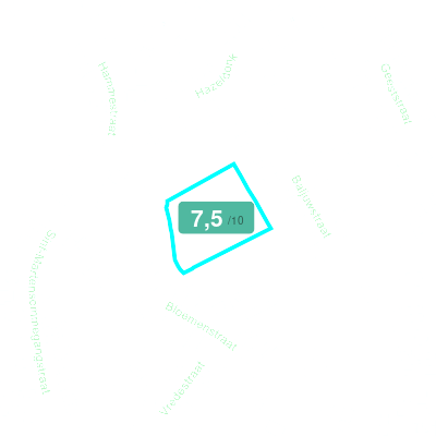 Mobiscore