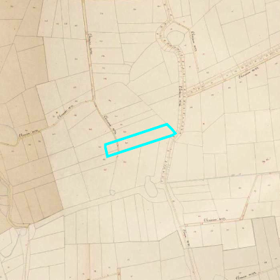 Algemeen Bodemgebruik (ABW)