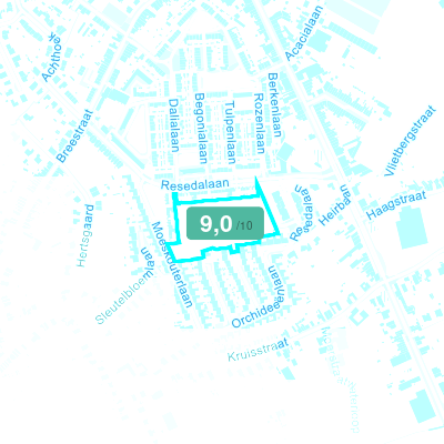 Mobiscore