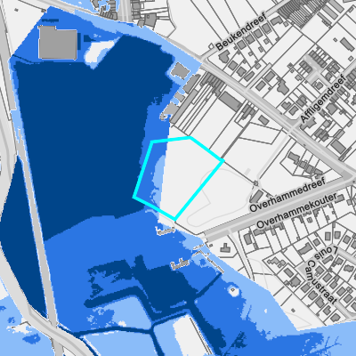 Overstromingsgevoelig (fluviaal)