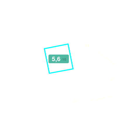 Mobiscore