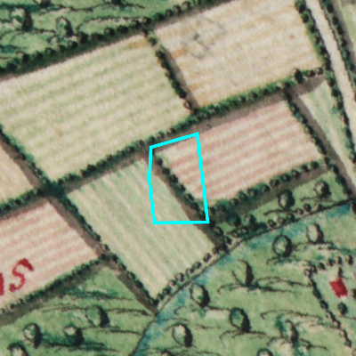 Ferraris (1771-1778)