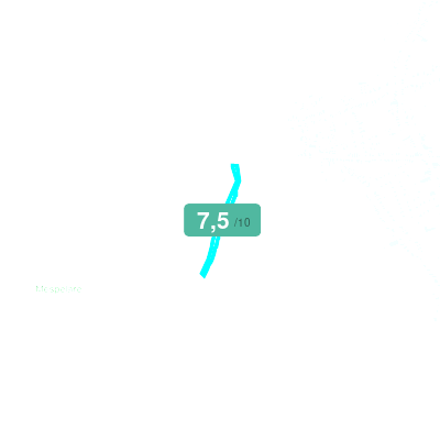 Mobiscore