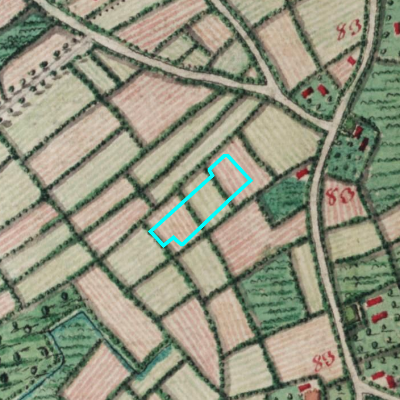 Ferraris (1771-1778)
