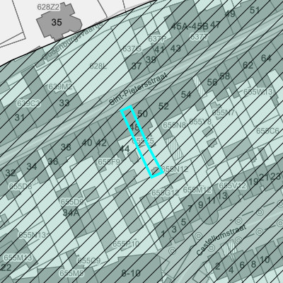 Vastgestelde archeologische zones