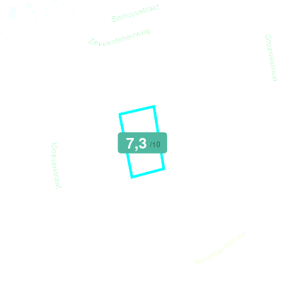 Mobiscore