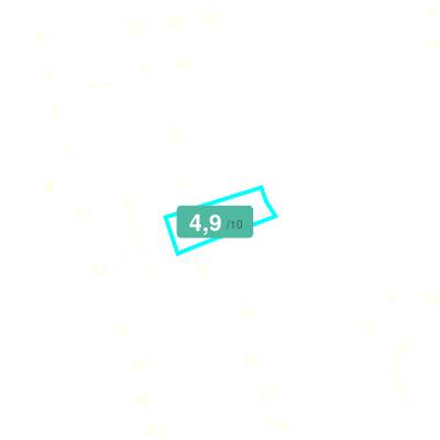 Mobiscore
