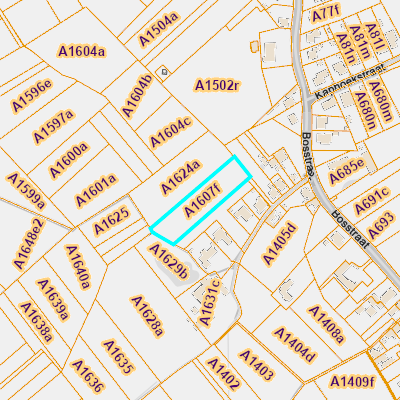 CADGIS