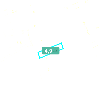 Mobiscore