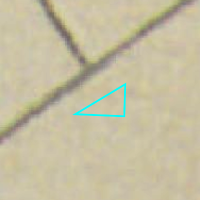 Algemeen Bodemgebruik (ABW)