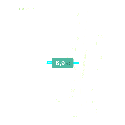 Mobiscore