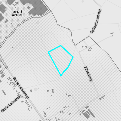 Ruimtelijke uitvoeringsplannen (RUP)