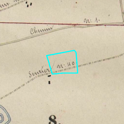 Algemeen Bodemgebruik (ABW)