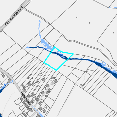 Overstromingsgevoelig (pluviaal)