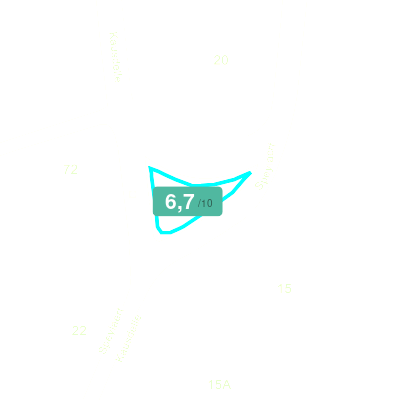 Mobiscore