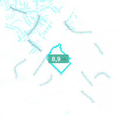Mobiscore