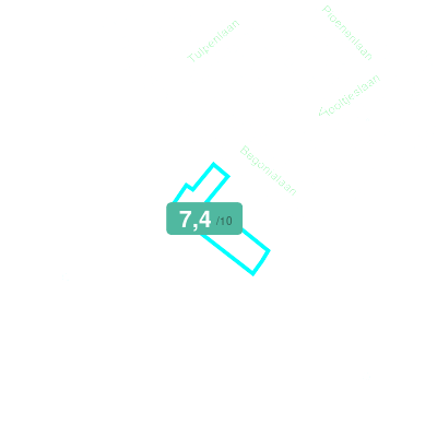 Mobiscore