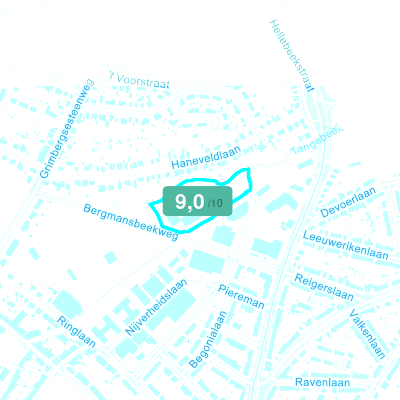 Mobiscore