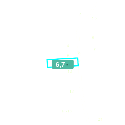 Mobiscore