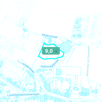 Mobiscore