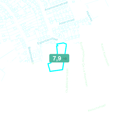 Mobiscore