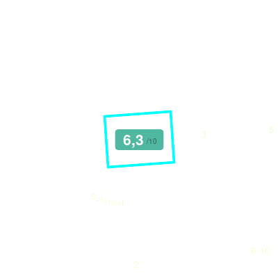 Mobiscore