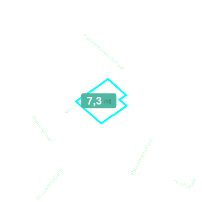 Mobiscore