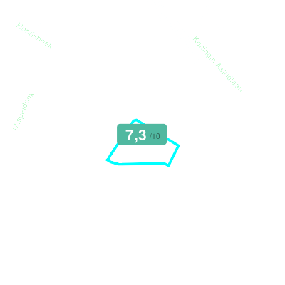 Mobiscore