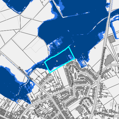 Overstromingsgevoelig (fluviaal)