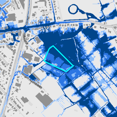 Overstromingsgevoelig (pluviaal)