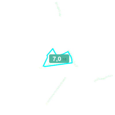 Mobiscore