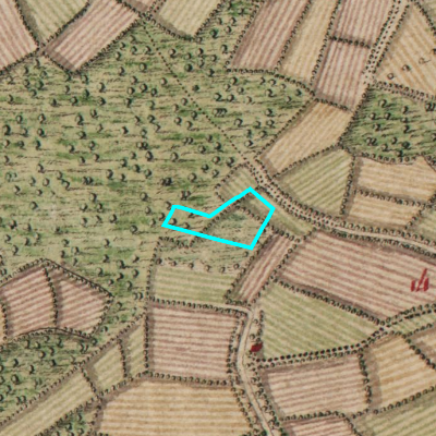 Ferraris (1771-1778)