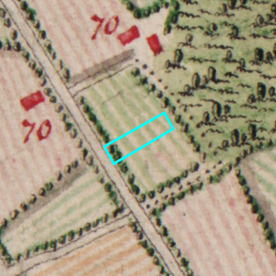 Ferraris (1771-1778)