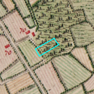 Ferraris (1771-1778)