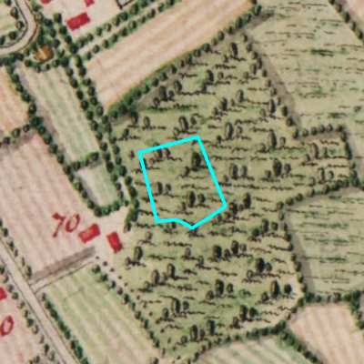 Ferraris (1771-1778)