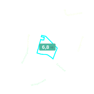 Mobiscore