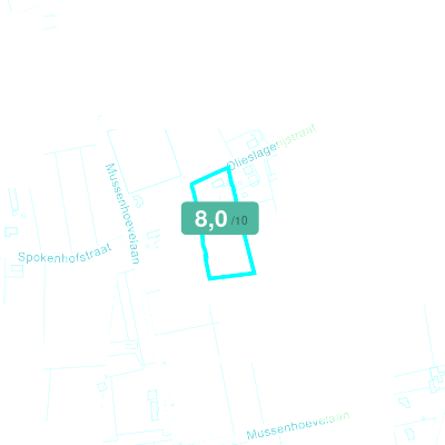 Mobiscore