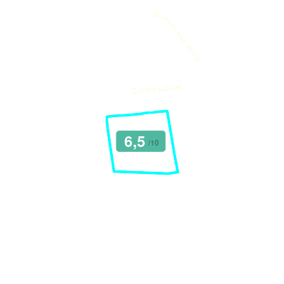 Mobiscore