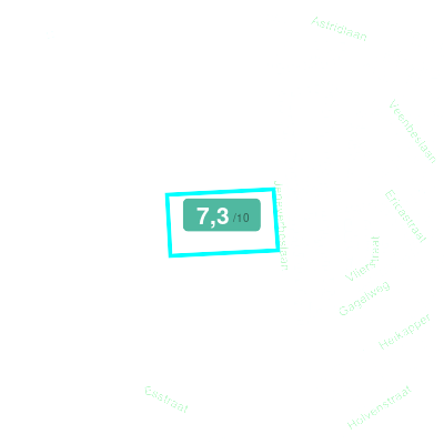 Mobiscore