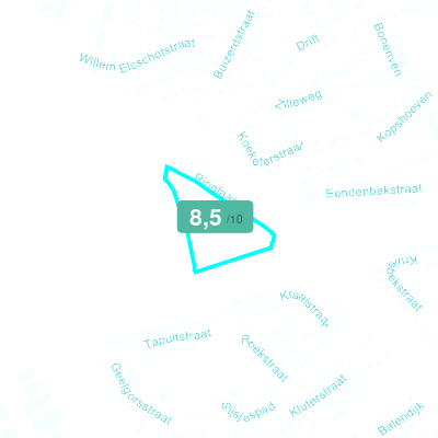 Mobiscore