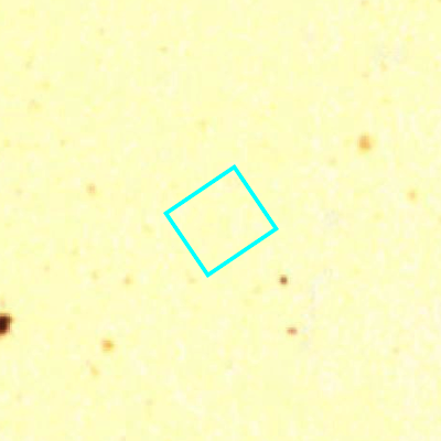 Algemeen Bodemgebruik (ABW)